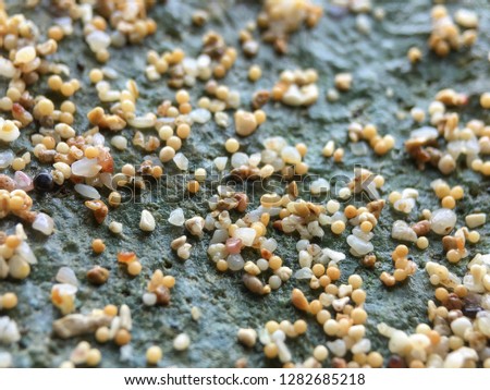 sea ​​sand granules