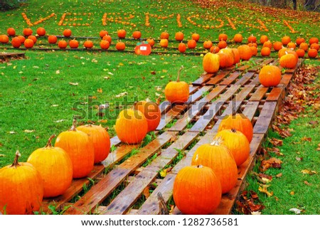 Pumpkins are displayed at a Vermont farmstand