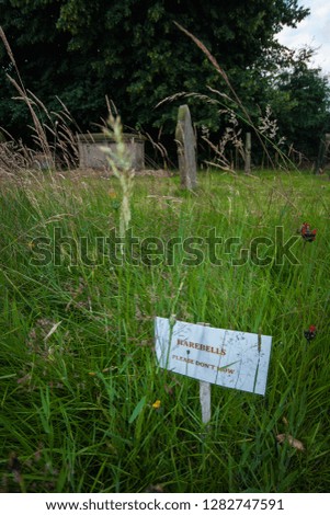 Sign with "harebells, please don't mowe" sign