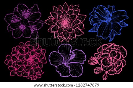Decorative  flowers set, design elements. Can be used for cards, invitations, banners, posters, print design. Floral background in line art style
