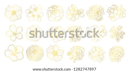 Decorative  flowers set, design elements. Can be used for cards, invitations, banners, posters, print design. Golden flowers