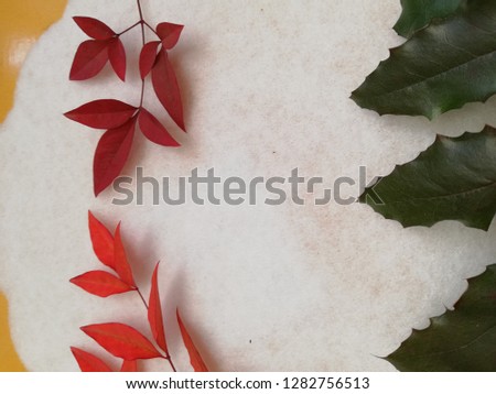  elegant greeting card for winter holiday,
We wish you Merry Christmas and Happy New Year - Italian language: Tanti auguri di Buon Natale & felice Anno Nuovo,decorated holiday cards blank