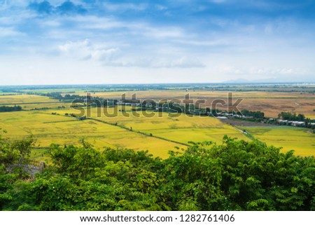 Rice field at Chau Doc, An Giang Province , Southern of Vietnam, from topview.