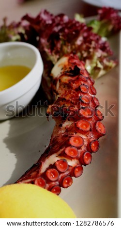 A beautiful picture of a red grilled octopus dish