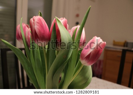 Rose tulips in an lovely apartment