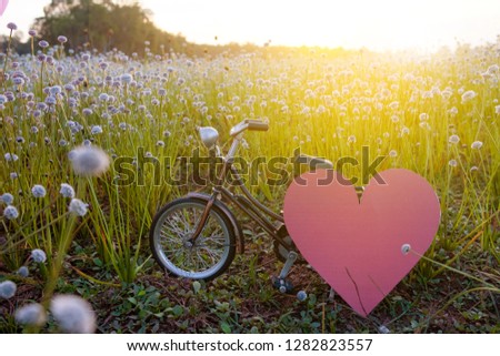 Bicycle park at beautiful flower grass with beautiful light.