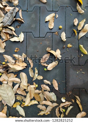 Dirty brick background cover with sand. A part of footpath. Street tiled stone pavement. Granite cobblestoned pavement background with autumn leaves.