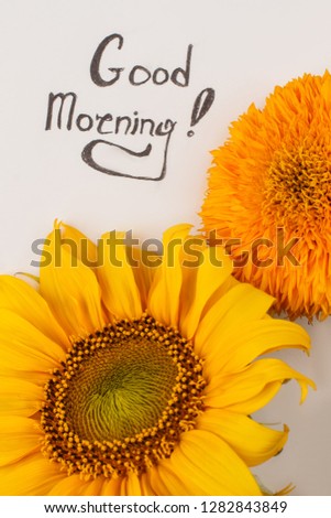 Good morning wish. Notepad and sunflowers.