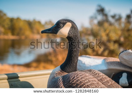 Goose decoy in boat
