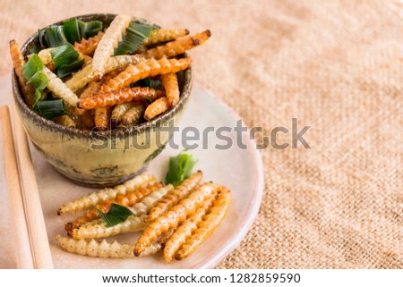 Food Insects: Bamboo worm (Bamboo Caterpillar) insect fried crispy for eating as food items on plate with chopsticks on sackcloth, it is good source of protein edible for future food concept. Royalty-Free Stock Photo #1282859590