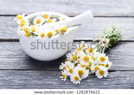 Chamomile flowers in mortar on grey wooden table