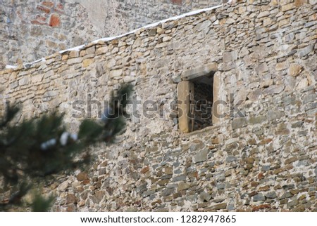 Tree with a castle wall and castle window