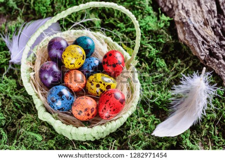Bright Easter painted quail eggs in a basket among grass and moss in a light 