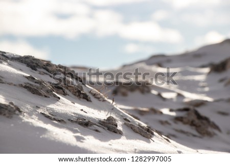 Selective focus close up of snow and rocks