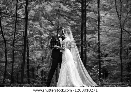 Young beautiful wedding couple of woman in white long dress and veil and man in black formal suit standing together in deep green forest on natural background, horizontal picture