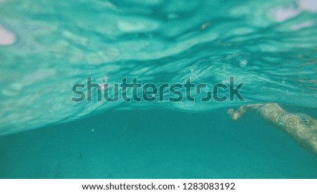 Swimming, view from under the water, clear water