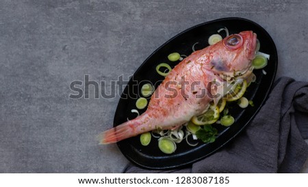  raw fresh ocean perch, ready to cook, olive oil, lemon, on the grey stone backgropund                           