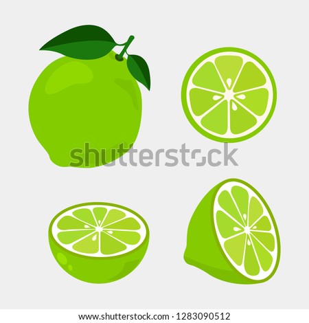 Colorful whole, half and slice lime with green leaf. Vector illustration isolated on white background.
