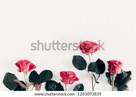 Flowers composition. Pink rose flowers on white background. Valentine's Day, Easter, Birthday, Happy Women's Day, Mother's day, holiday concept. Flat lay, top view, copy space