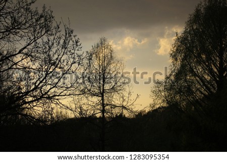 Dusk over the Black forest