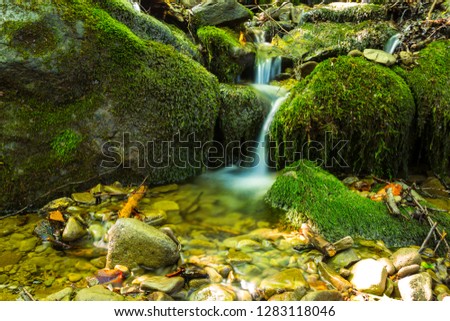 beautiful small brook in the mountain canyon