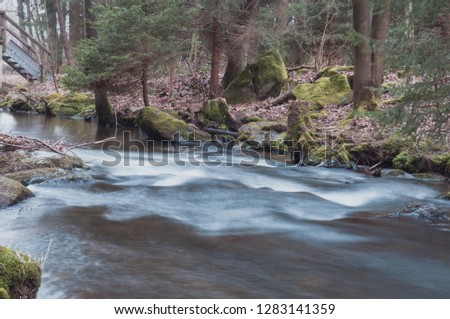 Little River In The Beautiful Forest Of Bavaria