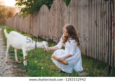 A girl in a white dress walks with a goat in nature. toning