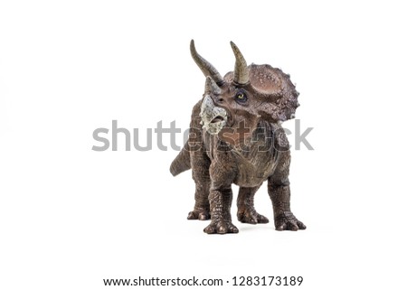 Triceratops  ,dinosaur on white background  . Royalty-Free Stock Photo #1283173189