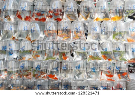 Goldfish Market in Hong Kong