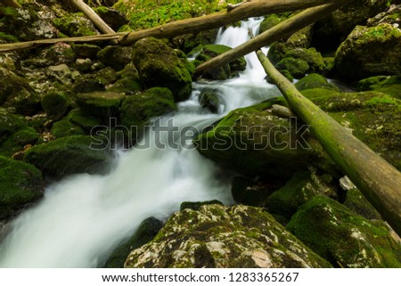 Beautiful waterfalls and vibrant green foliage in the mountains, in spring