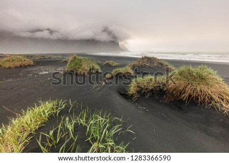 Beautiful seascape in Iceland which looks like a moon landscape with green grass dunes in the foreground, a black sand beach in the middle ground and mountains covered in clouds in the background  