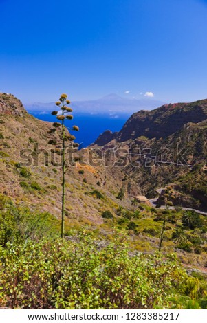 Road in La Gomera island - Canary Spain