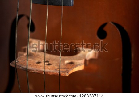 Detail of double bass musical instrument 2