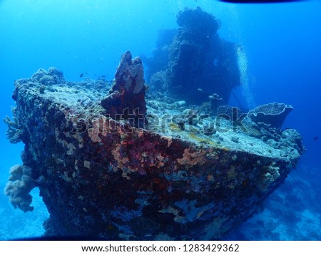 Dive in Rabaul , Pigeon island , East New Britain province . Papau New guinea best scuba diving . Atun Wreck dive .  Royalty-Free Stock Photo #1283429362