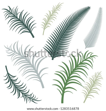 Different versions of palm branches. Vector image. Eps 10