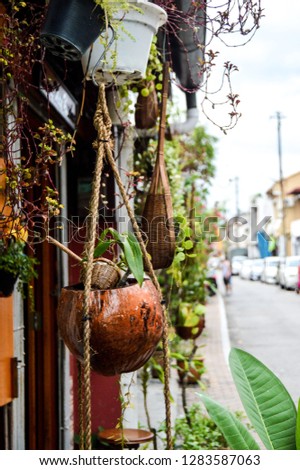 My perspective through Jonker Street, Melaka. Shown here a picture of a unique flowering pot that was made from coconut shell. It is commonly known as the Chinatown of Melaka.