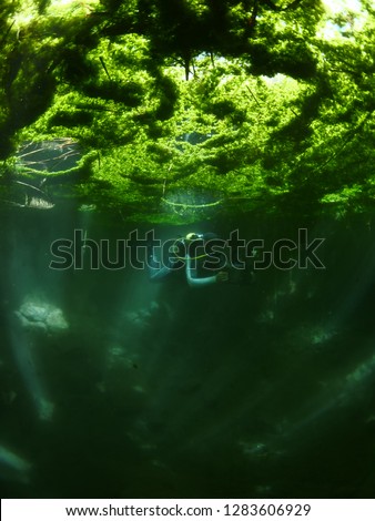 scuba diver underwater freshwater lake vegetation plants 