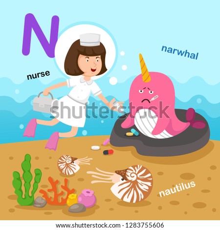 Illustration Isolated Alphabet Letter N-narwhal,nautilus,nurse.vector