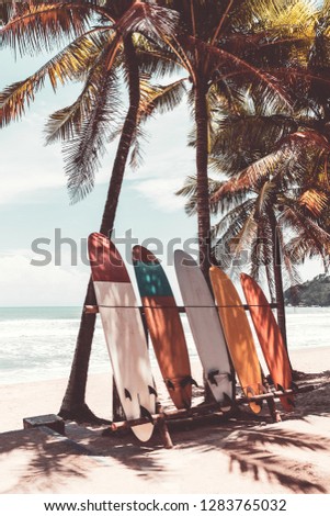 Surfboard and palm tree on beach background. Travel adventure sport and summer vacation concept. Vintage tone filter effect color style. Royalty-Free Stock Photo #1283765032