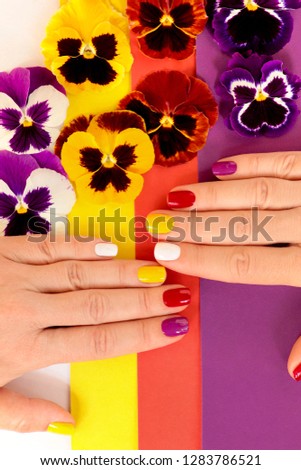 Multi-colored juicy manicure on short female nails on a striped background with flowers Pansies.Nail art.