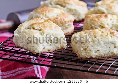 Freshly baked buttermilk southern biscuits or scones from scratch cooling on a cooling rack.