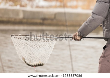 trout fishing background