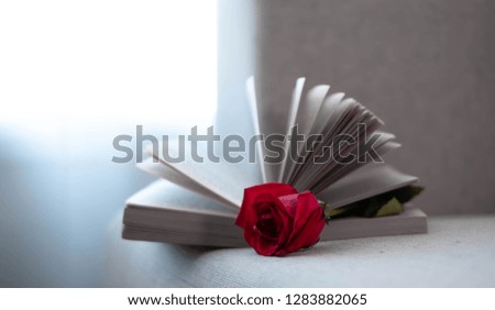 A picture of a rose on a book on sofa. This picture is suitable for such occasion as Valentine's day, romantic, sweet, dating, broken heart, lonely and so on. It can also be used as a text picture.