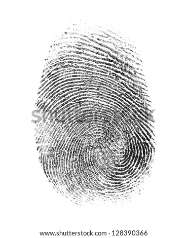 fingerprint isolated on white Royalty-Free Stock Photo #128390366