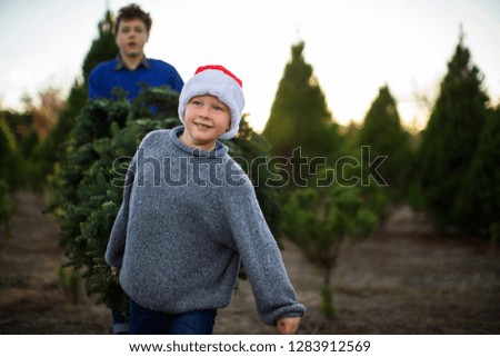 Happy young boy wearing a santa hat looks forward to Christmas as he helps his older brother carry a Christmas tree at the Christmas tree farm.