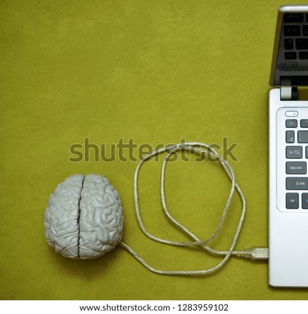 open laptop , memory card and hard disk at the form of human brain. isolated on green background. 