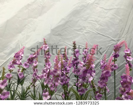 Blurry picture of purple flower on white fabric background. 