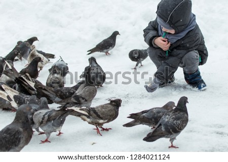 A little boy feeds pigeons in winter.