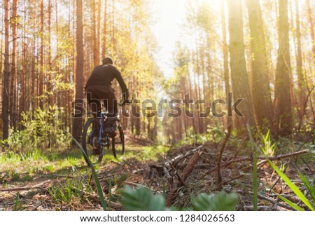 Man rides mountain bike along a trail in a beautiful green forest on a sunny day. Healthy lifestyle and outdoor sport activity. Out of focus low angle view