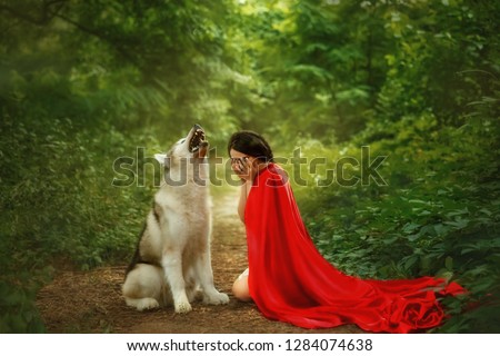fantasy girl fairy Tale Little Red Riding Hood and the Gray Wolf. dark-haired model  woman covers hid her face with her hands and cries,  forest dog lets out a howl, shows her teeth with sharp teeth